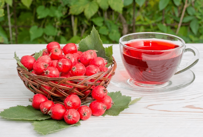 A DECOCTION OF ESPINO